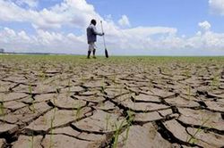 Đông Nam Á dễ tổn thương trước El Nino