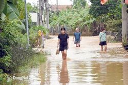 Chủ động ph&ograve;ng ngừa sạt lở, ngập nước trong m&ugrave;a mưa b&atilde;o