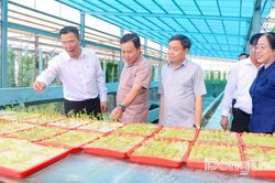 Đồng chí Phan Văn Thắng khảo sát mô hình Nông trại Suối Gạo