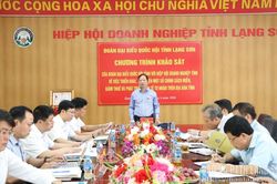 Đoàn đại biểu Quốc hội tỉnh khảo sát việc thực hiện chính sách thuế tại Thuế cơ sở 5 và Hiệp hội Doanh nghiệp tỉnh