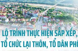 Lộ trình thực hiện sắp xếp, tổ chức lại thôn, tổ dân phố
