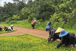 Cuộc sống mới ở T&ocirc;n K'Long