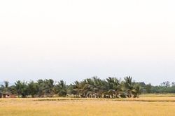 Phòng, chống lũ quét và giông sét vùng ven sông La Ngà