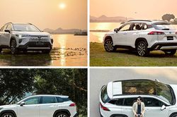 Toyota Corolla Cross 2026: Nâng tầm trải nghiệm với thiết kế mới và công nghệ Hybrid