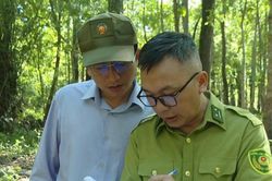 Dự án Ka Pét sẵn sàng triển khai đồng loạt các hạng mục vào cuối tháng 6