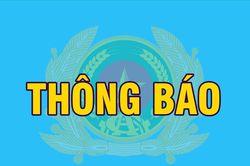 Th&ocirc;ng b&aacute;o lịch kiểm tra phục hồi điểm giấy ph&eacute;p l&aacute;i xe tại TP.H&agrave; Nội th&aacute;ng 5 năm 2026