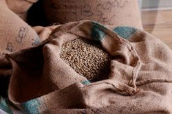 Gi&aacute; c&agrave; ph&ecirc; h&ocirc;m nay 16/6: Nối d&agrave;i đ&agrave; tăng, robusta cao nhất 5 tuần