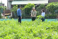 Xác định lại ranh giới, cấp Giấy chứng nhận quyền sử dụng đất nông nghiệp theo đơn đề nghị của công dân
