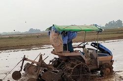 Thọ Văn vào vụ mới