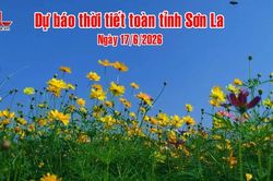 Dự báo thời tiết toàn tỉnh Sơn La ngày 17/6/2026
