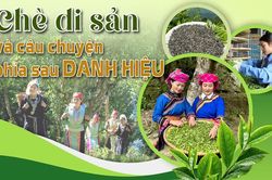 Chè di sản và câu chuyện phía sau danh hiệu