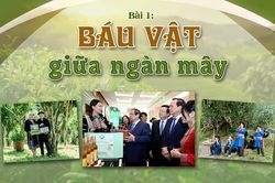B&agrave;i 1: B&aacute;u vật giữa ng&agrave;n m&acirc;y