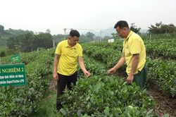 Thái Nguyên khẳng định giá trị OCOP bằng chất lượng bền vững