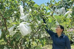 'Cần câu' cho phụ nữ khởi nghiệp
