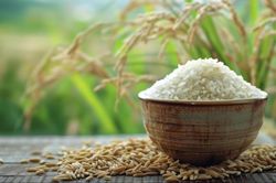 Ng&agrave;y 16/6: Gi&aacute; l&uacute;a gạo tại Đồng bằng s&ocirc;ng Cửu Long ổn định, giao dịch chậm