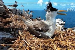 VTV ra mắt dự án về thiên nhiên hoang dã