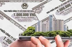 Một doanh nghiệp BĐS bị phạt 85 triệu đồng vì không công bố thông tin trái phiếu