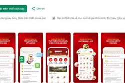 Tố giác lừa đảo trực tuyến bằng VNeID