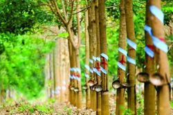Cao su Phước H&ograve;a (PHR) sắp ph&aacute;t h&agrave;nh 108,4 triệu cổ phiếu, n&acirc;ng vốn điều lệ l&ecirc;n hơn 2.400 tỷ đồng