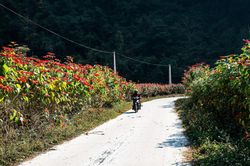 Quang Long đưa nghị quyết của Đảng vào cuộc sống