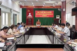 Ban Tổ chức Tỉnh ủy kiểm tra công tác tổ chức xây dựng Đảng tại xã Hòa An