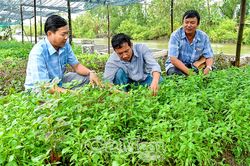 Hướng đi bền vững cho c&ocirc;ng t&aacute;c giảm ngh&egrave;o
