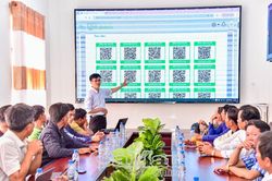 Vĩnh Thanh hướng đến xây dựng thương hiệu rau má đạt chuẩn VietGAP, OCOP 3 sao trở lên