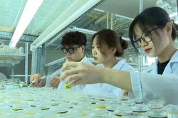 Th&uacute;c đẩy sản phẩm c&ocirc;ng nghiệp quốc gia, sản phẩm c&ocirc;ng nghệ cao 'Made in Viet Nam'