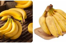 Mua chuối ti&ecirc;u hay chuối t&acirc;y nhiều dinh dưỡng hơn?