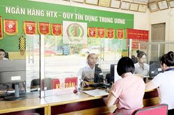 Quỹ tín dụng nhân dân: Kênh dẫn vốn quan trọng cho kinh tế tập thể