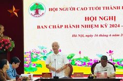 Đồng ch&iacute; Đ&agrave;o Ngọc Triệu được bầu giữ chức Ph&oacute; Chủ tịch Hội Người cao tuổi TP H&agrave; Nội