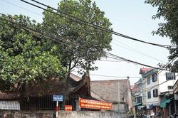 X&atilde; H&aacute;t M&ocirc;n bảo đảm đồng thuận, giữ vững ổn định khi sắp xếp, tổ chức lại th&ocirc;n