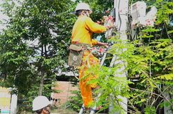 Lịch cúp điện Vĩnh Long (Trà Vinh cũ) từ ngày 16 - 21/6/2026: Tăng hàng loạt khu dân cư bị mất điện cả ngày