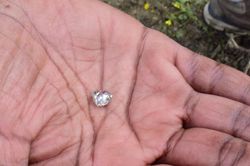 Nhặt được 'viên đá lạ' trong công viên, người phụ nữ sốc khi biết đó là báu vật hàng nghìn người cùng tìm kiếm