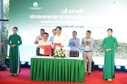 Đà Nẵng: Hỗ trợ cây giống trị giá 1 tỷ đồng để phủ xanh Cù Lao Chàm