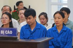 Cựu chủ tịch Việt Á Phan Quốc Việt cùng đồng phạm hầu tòa ở Đắk Lắk