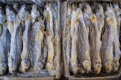 Muốn 2 quả thận khỏe, nhất định nên hạn chế 5 thực phẩm này