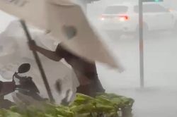 Khoảnh khắc người đàn ông bị gió mạnh quật ngã ở TP.HCM