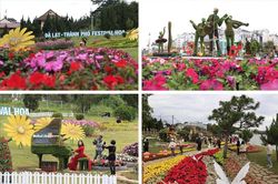 Festival Hoa Đà Lạt lần thứ 11: Bản giao hòa của sắc hoa và âm nhạc