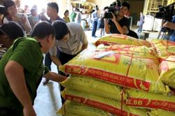 Từ 5.8, phạt đến 100 triệu đồng với hành vi sản xuất, mua bán thức ăn chăn nuôi chứa hóa chất cấm