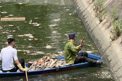 Cá chết hàng loạt ở hồ Nghĩa Đô - Hà Nội
