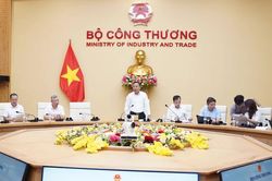 Tham vấn r&agrave; so&aacute;t, điều chỉnh thiết kế thị trường điện cạnh tranh
