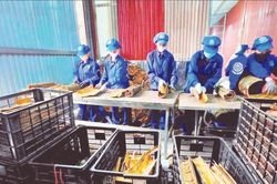 Tăng trưởng xuất khẩu n&ocirc;ng sản sang Ấn Độ
