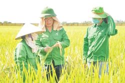 Viết tiếp khúc quân hành trên mặt trận kinh tế