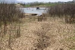 Cục Khí tượng Australia cánh báo nguy cơ tác động mạnh mẽ từ hiện tượng El Nino