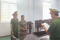 Đà Nẵng: Khởi tố, bắt tạm giam đối tượng trong vụ lừa đảo chiếm đoạt hơn 3,5 tỷ đồng