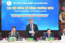 VRG hướng đến mục tiêu Tập đoàn kinh tế sản xuất nông nghiệp xanh hàng đầu thế giới