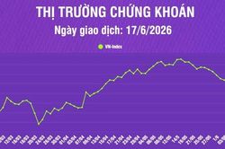 [Infographic] Chứng khoán ngày 17/6: VN-Index giảm nhẹ 1,74 điểm, thanh khoản thị trường tăng