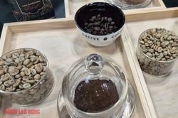 Giá cà phê hôm nay 17-6: Arabica bùng nổ, Robusta nối dài chuỗi tăng