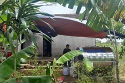 Vào rừng hái cây thuốc, người phụ nữ bị rắn độc cắn tử vong